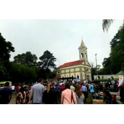 Divulgada a programação da tradicional festa de Nossa Senhora do Rocio - Miqueletto